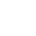 888vip shield